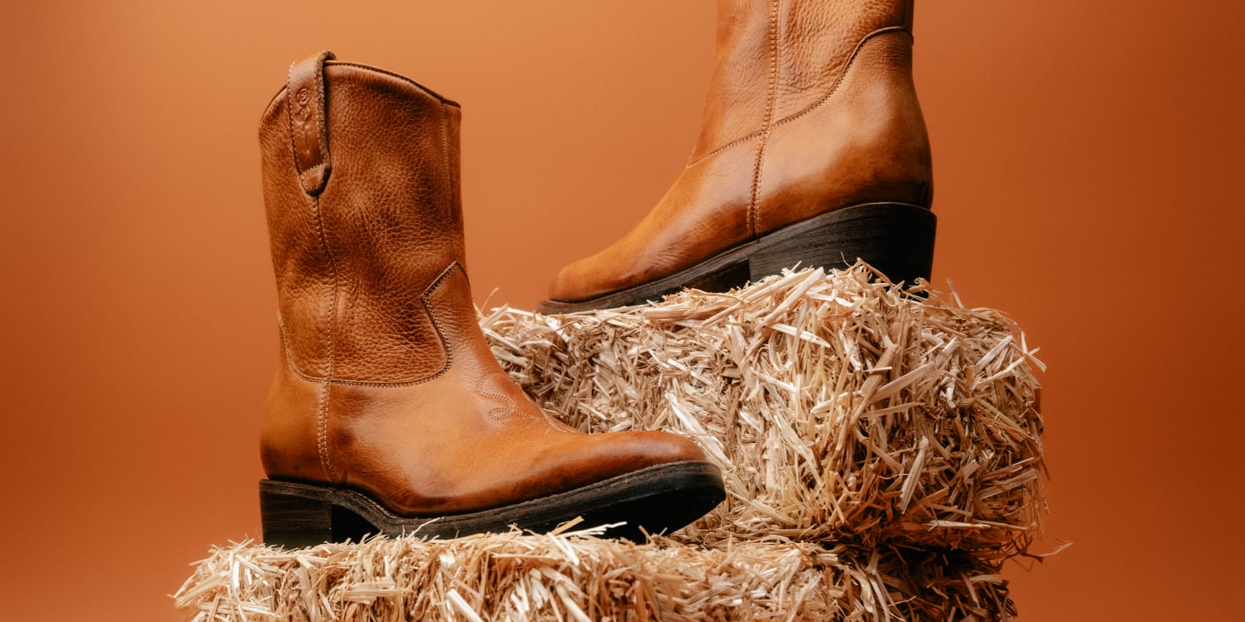 Santa Rosa | Snake Oil Provisions