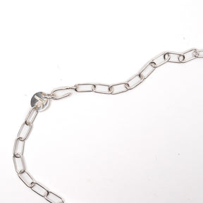 The Flat Head Silver Chain