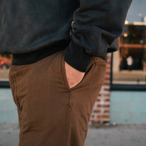 RRL Chino Field Pant Dark Brown