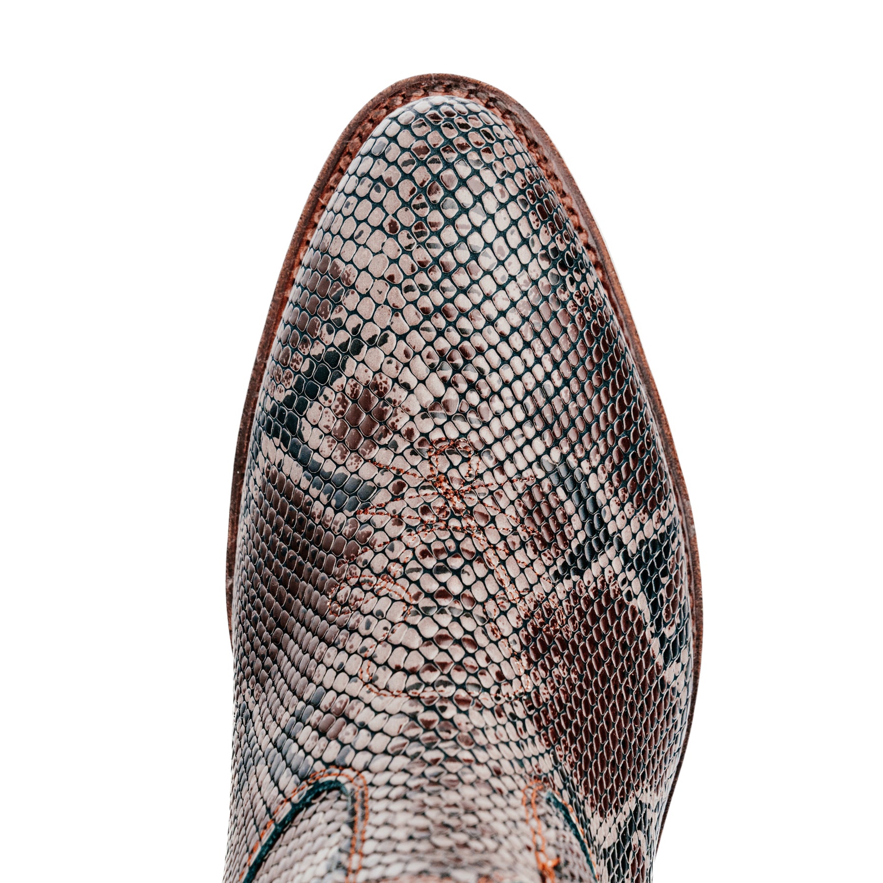 Santa Rosa Brand x Snake Oil Provisions Heartbreaker Boot Brown Snake