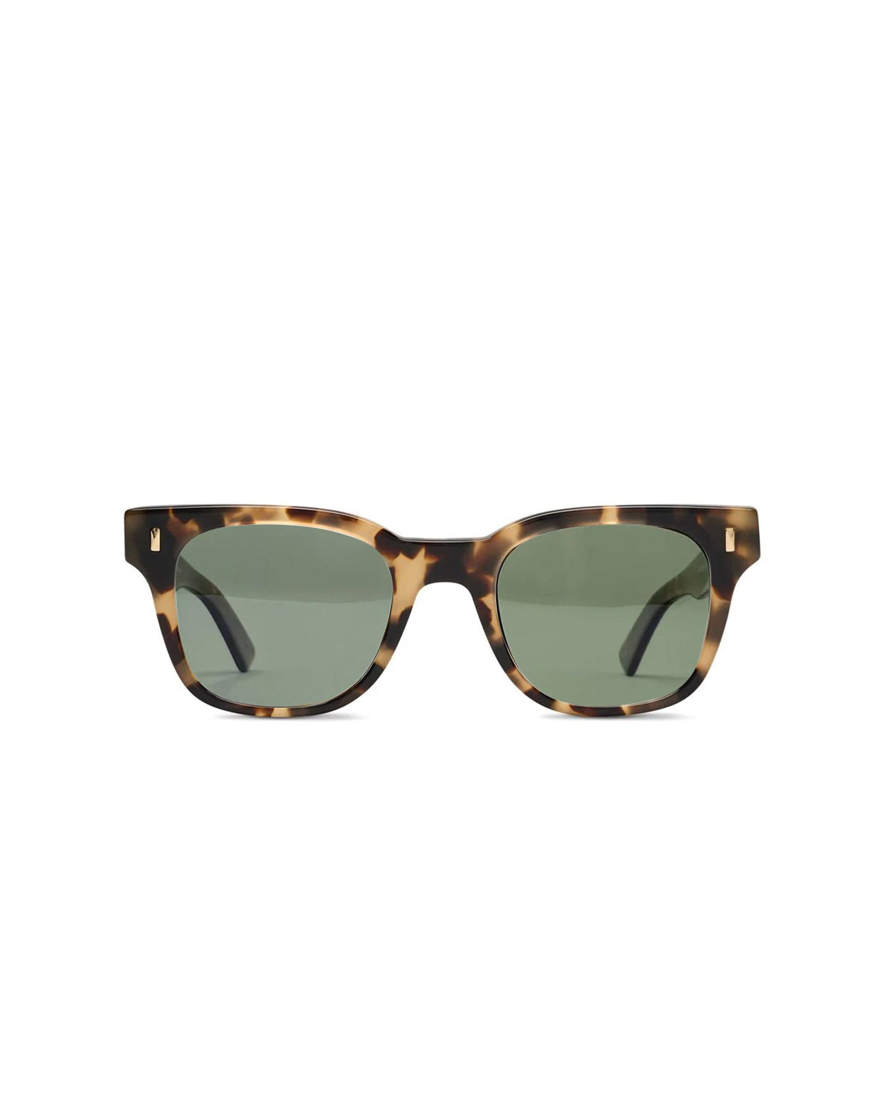 SALT. Jennings Polarized Sunglasses Blonde Havanna